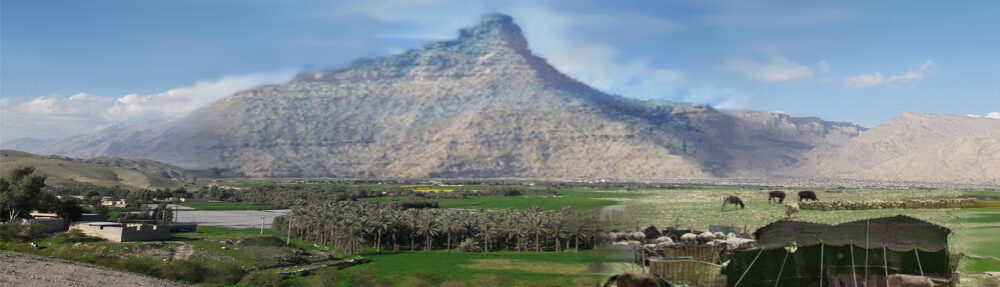 تیره تاکائیدی